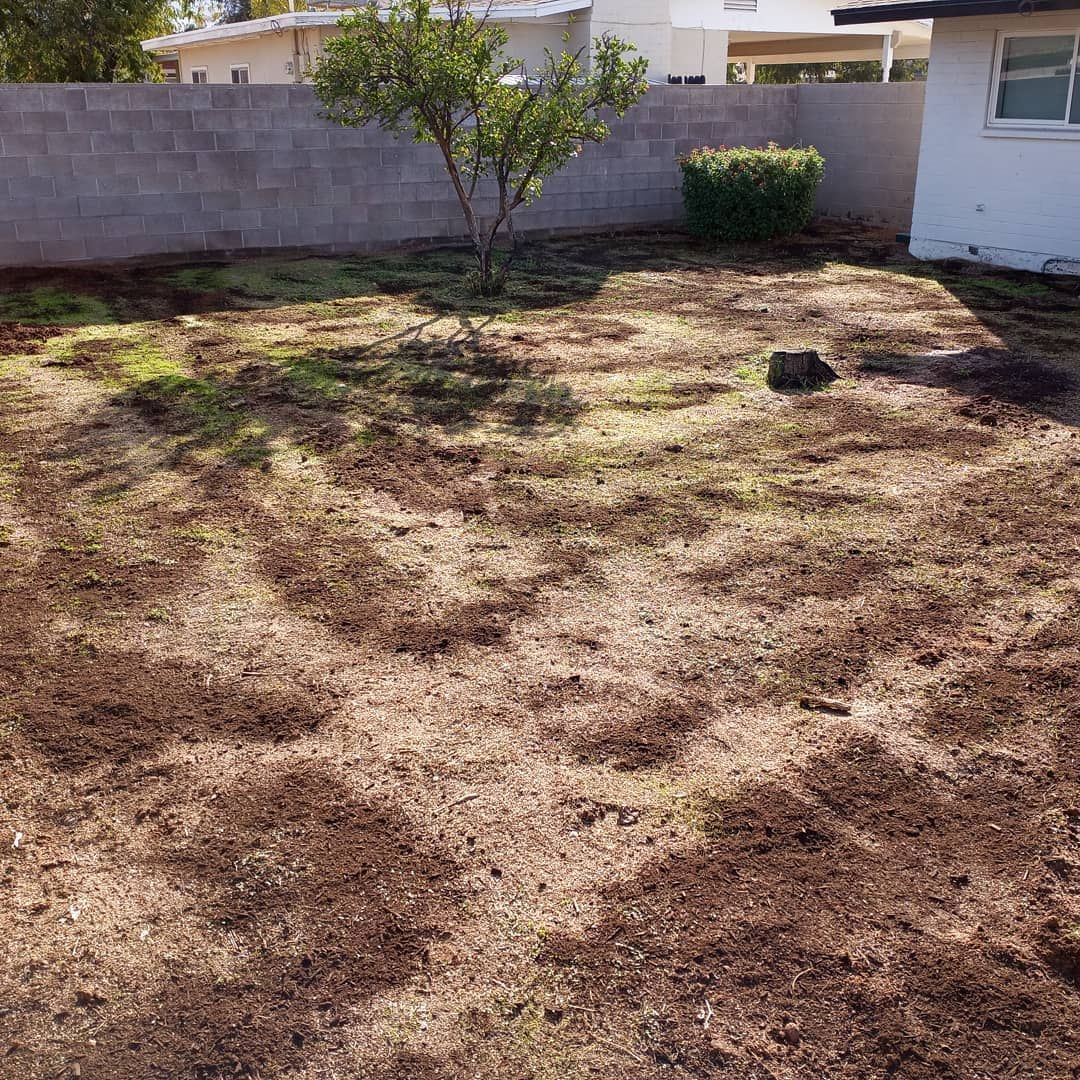 A backyard with a brick wall and a tree in the middle of it.