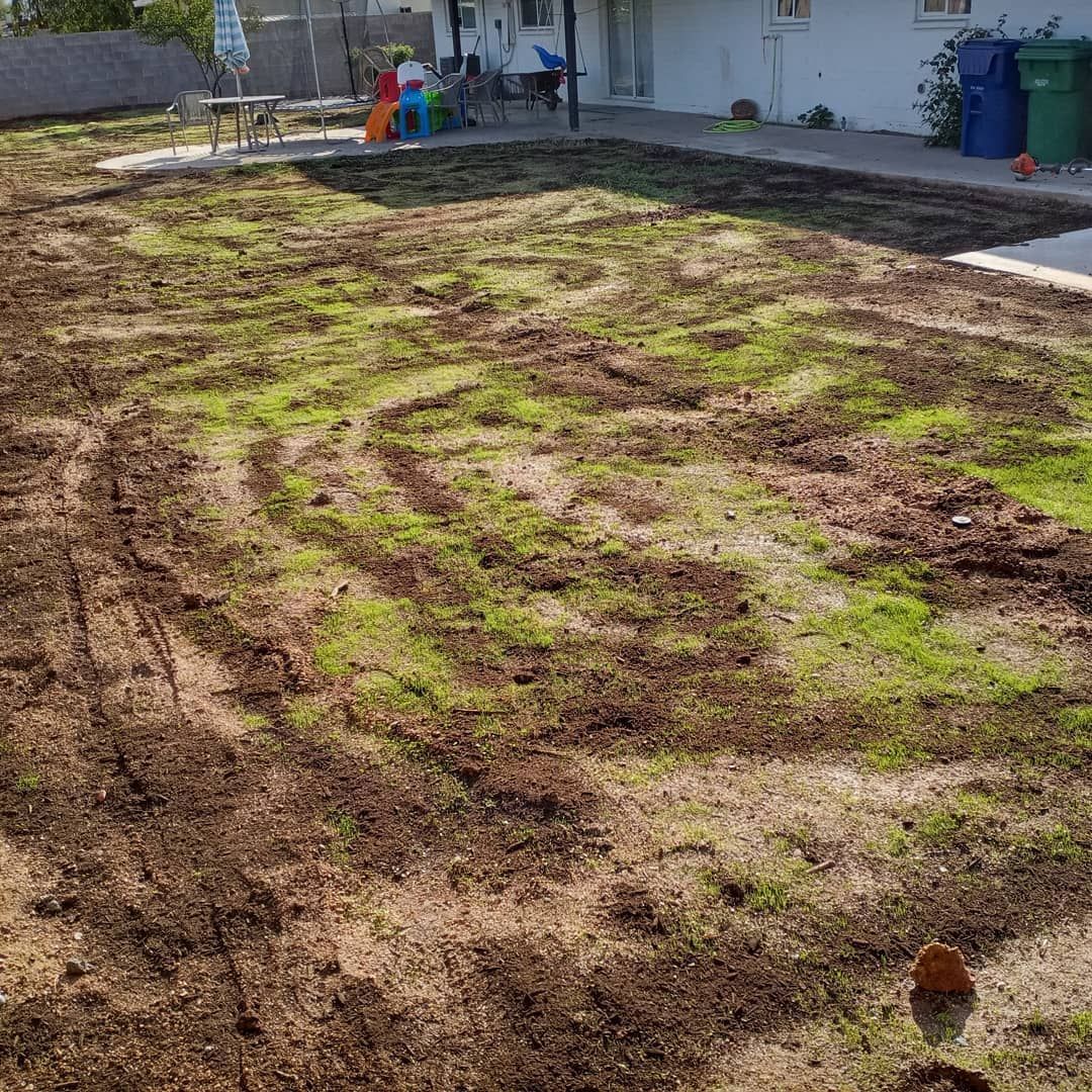 A backyard with a lot of dirt and grass and a house in the background.