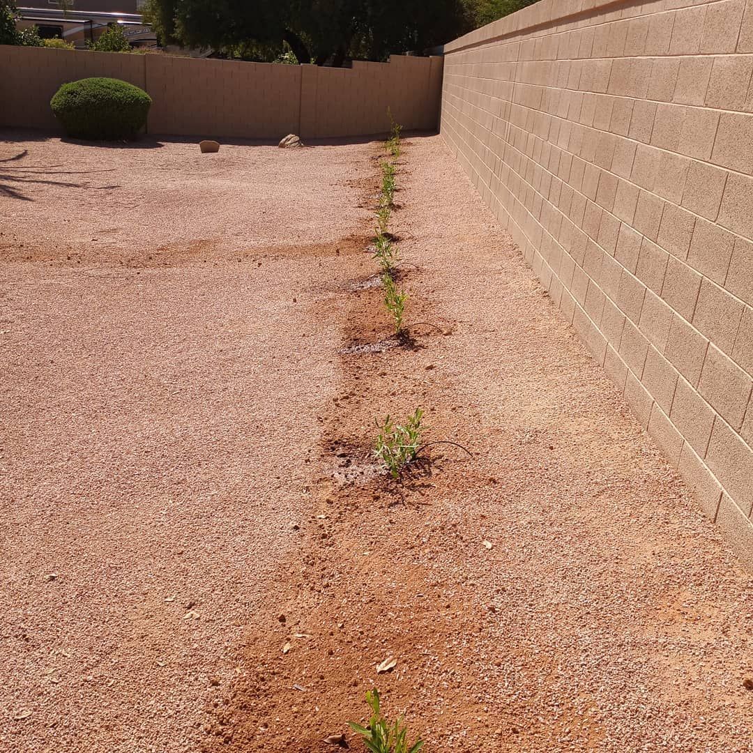 A gravel driveway with a brick wall in the background