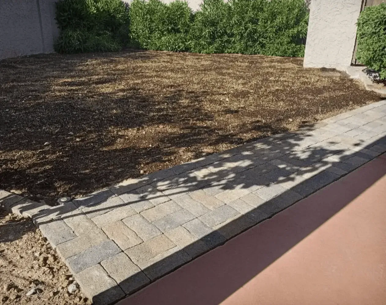 A shadow of a tree is cast on a brick walkway