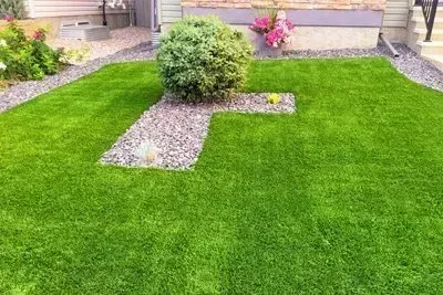 A lush green lawn with a bush in the middle of it in front of a house.