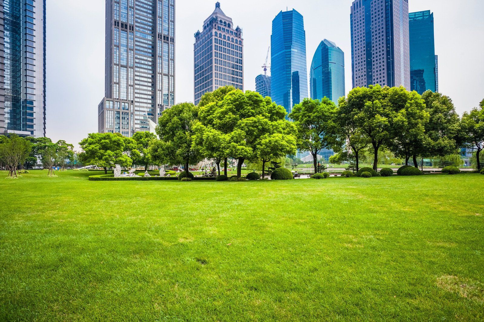 A park with trees and tall buildings in the background.
