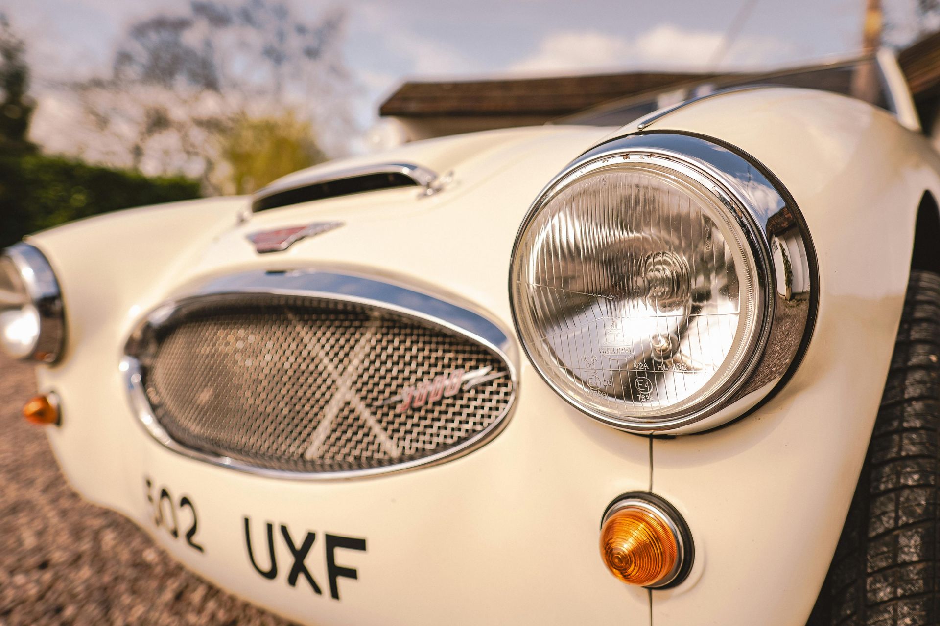 Austin-Healey