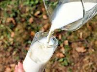 A person is pouring milk into a glass.