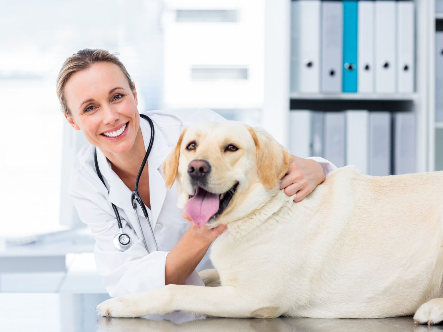 A female veterinarian is petting a dog on a table.