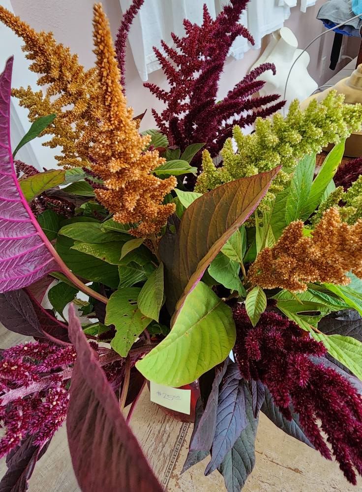 Floral arrangement with red, green, and gold amaranthus, and dark purple foliage.