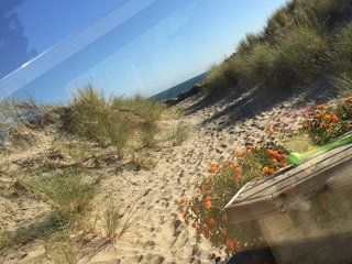 Beach View — Modesto, CA — Car Audio Depot