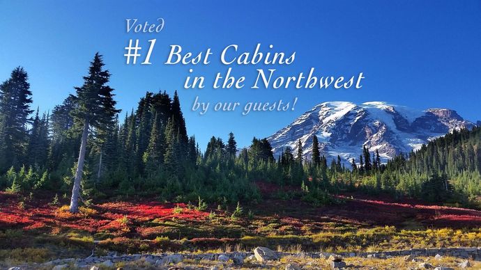 # 1 best cabins in the northwest by our guests