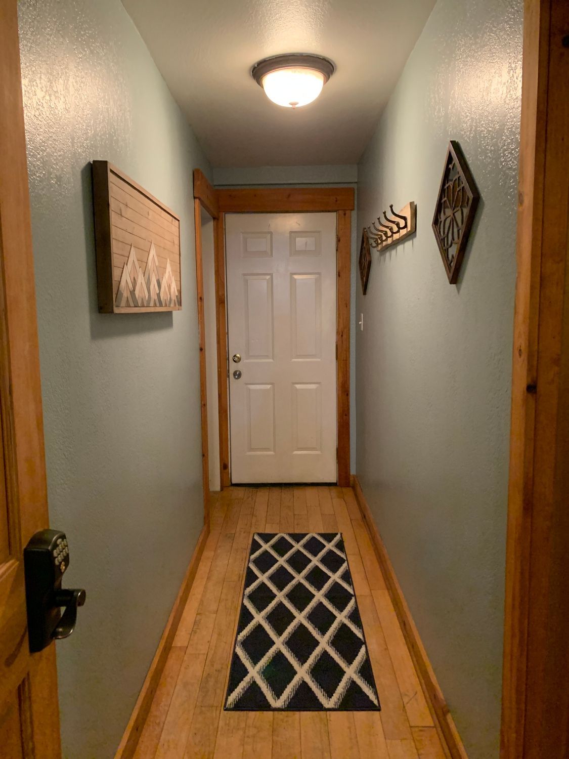 A long hallway with a rug on the floor and a white door.