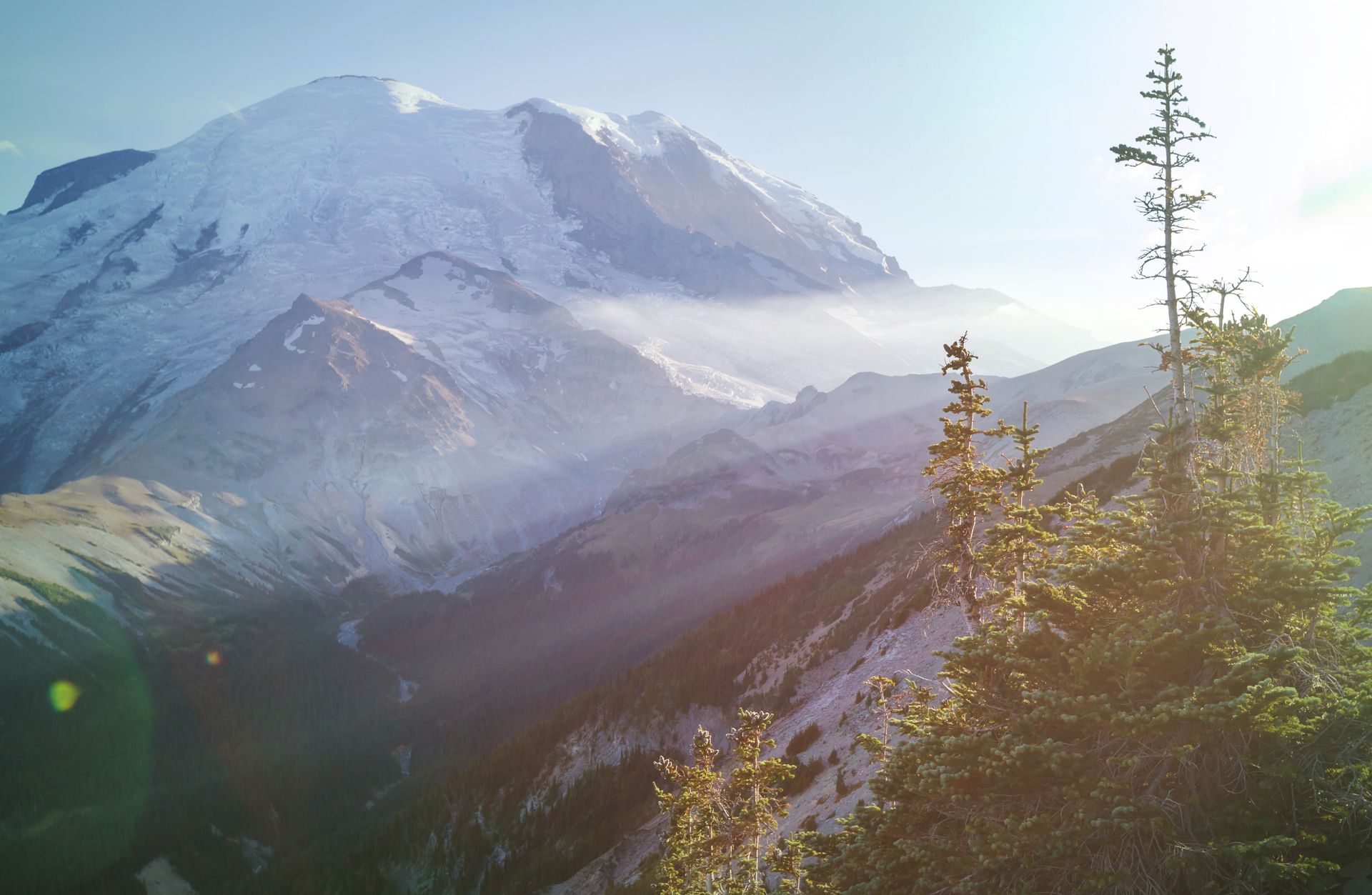 Snowy mountain rising above a valley with pine trees, sunlit with mist.