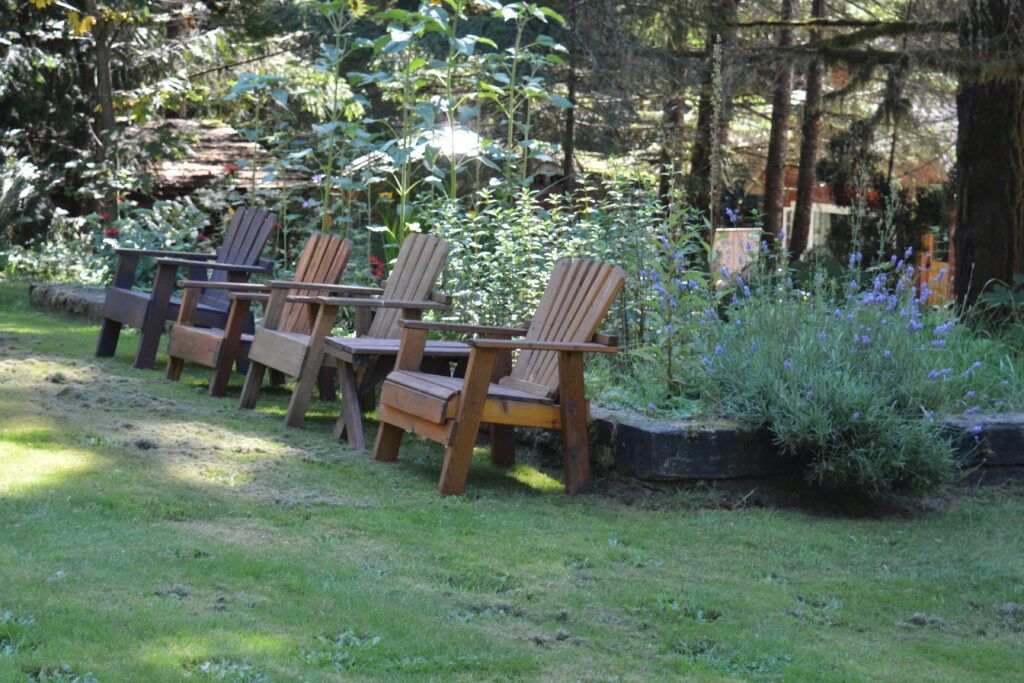 A row of wooden chairs sitting on top of a lush green lawn.