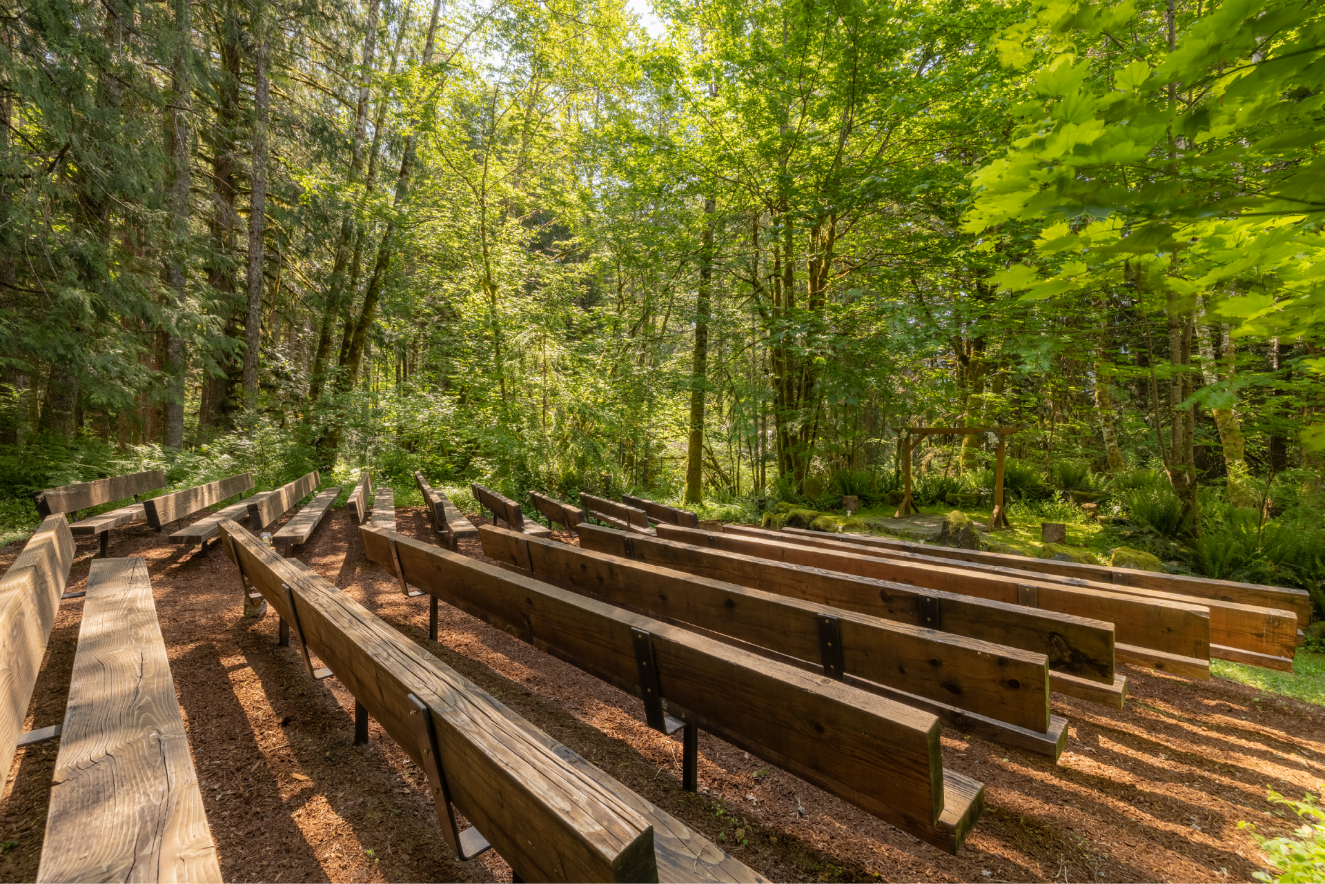Wooden benches in a natural amphitheater in a sun-dappled forest. Rows of benches face a small stage area surrounded by trees.
