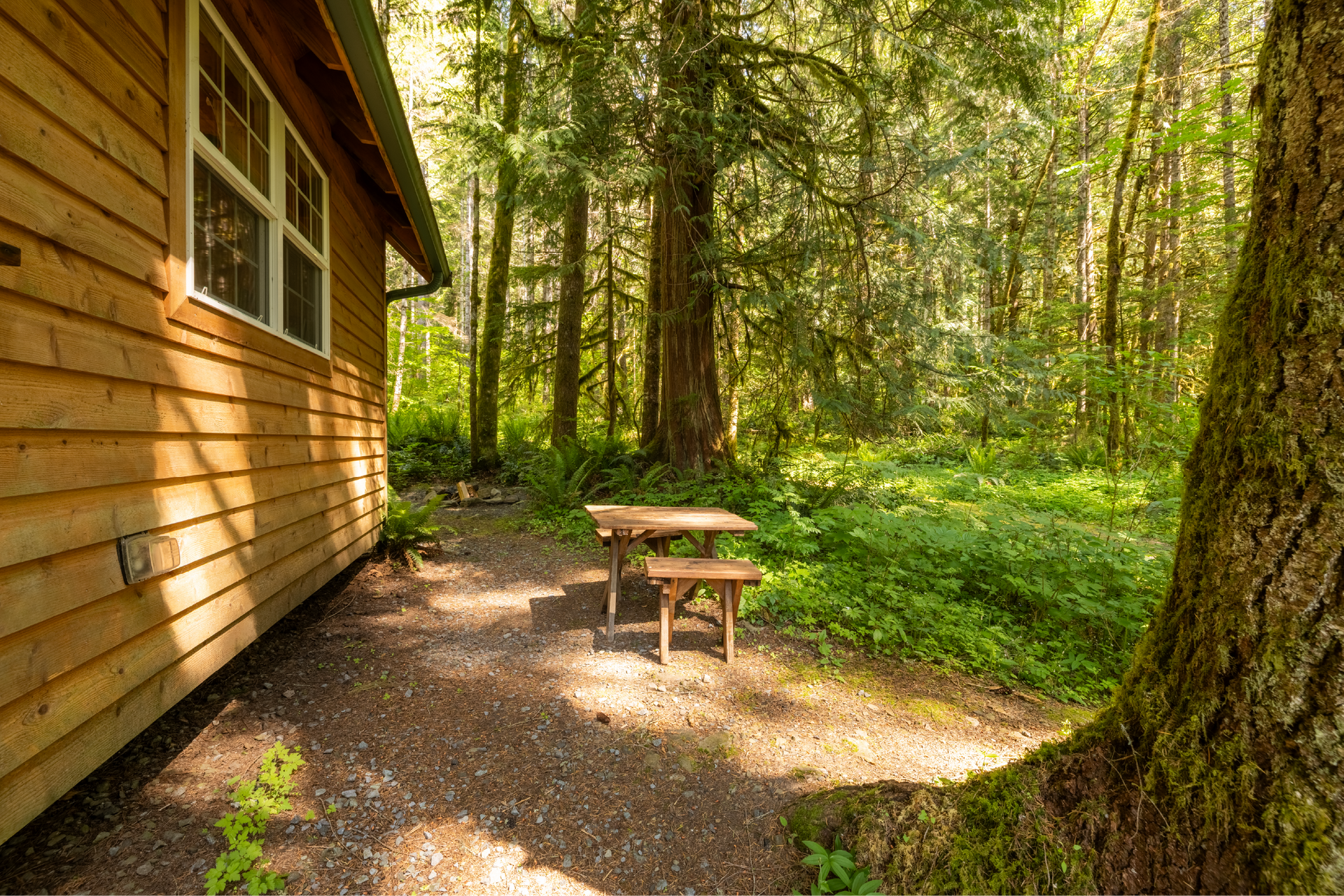 Wooden cabin exterior with a small table and benches on a gravel patio, surrounded by a lush green forest.