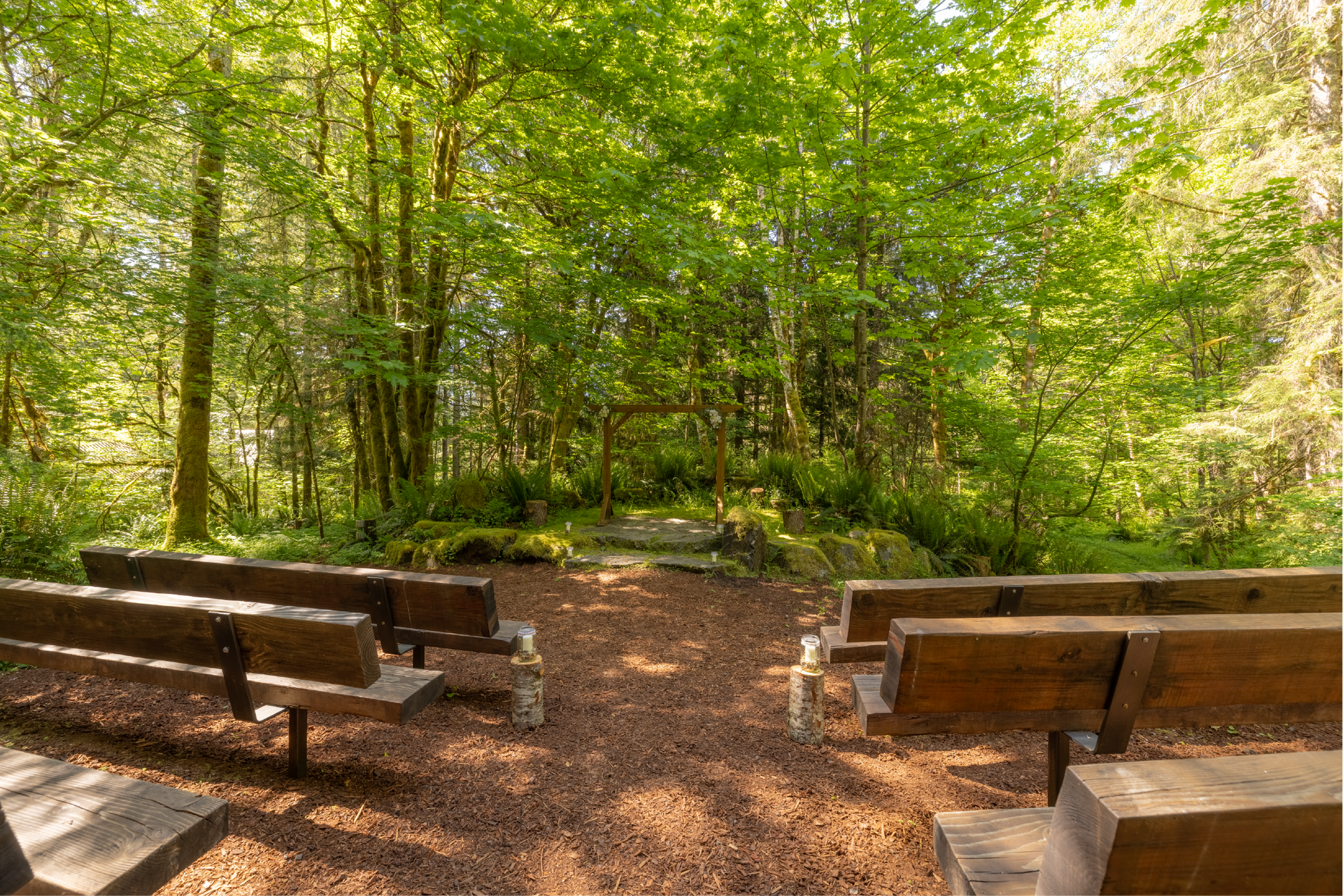 Rows of wooden benches face a natural outdoor amphitheater in a lush green forest. Brown gravel covers the ground.