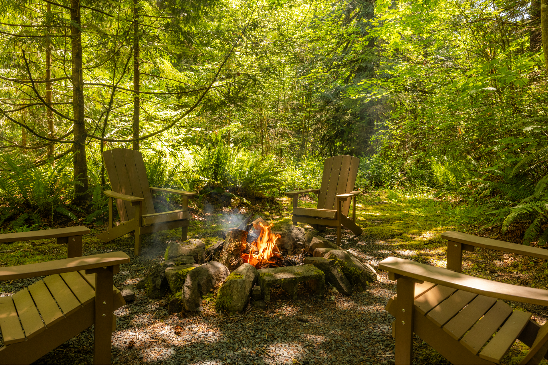 Four wooden chairs arranged around a campfire in a clearing in the woods; sunlight filters through the trees.