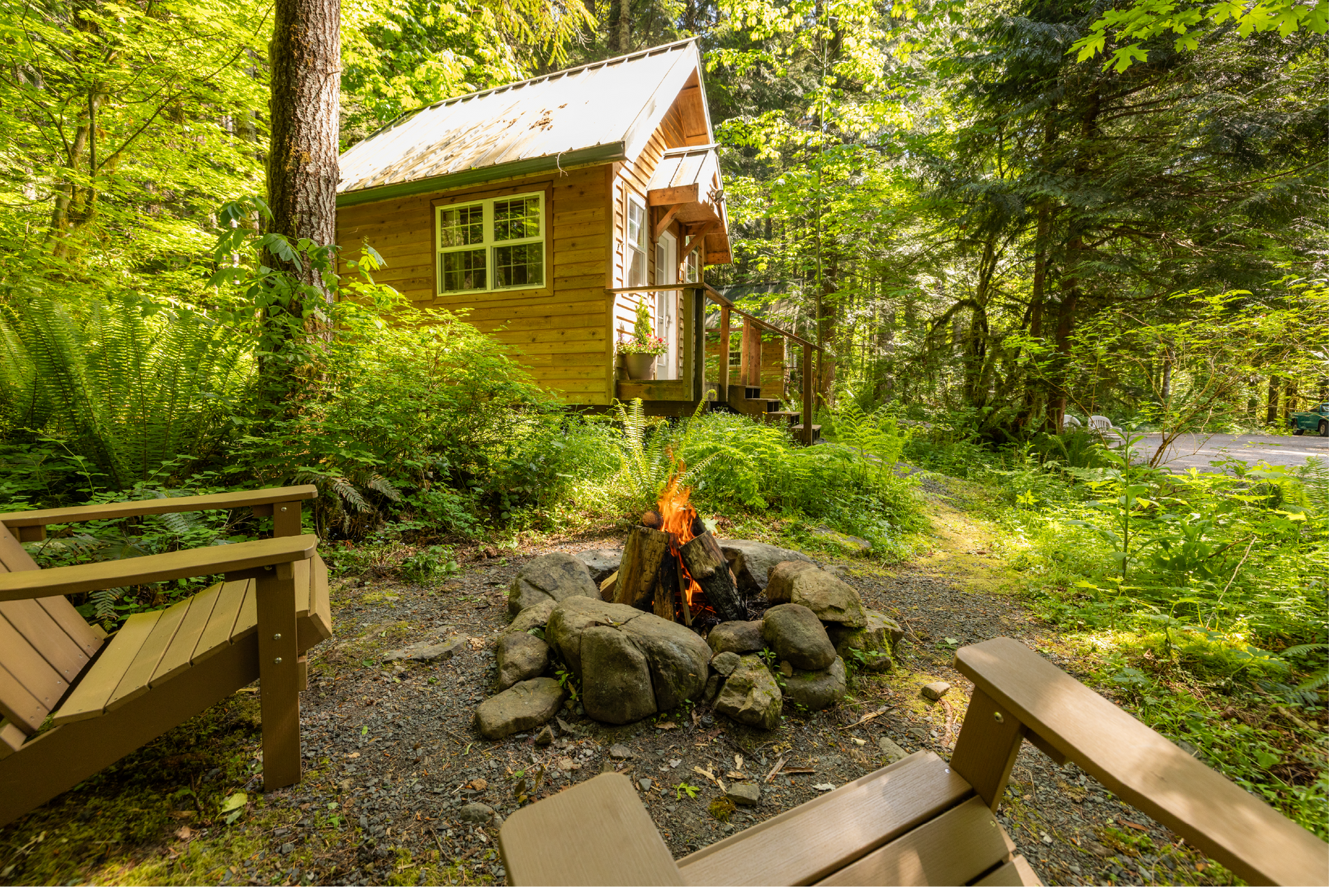 A small wooden cabin in the middle of a forest.