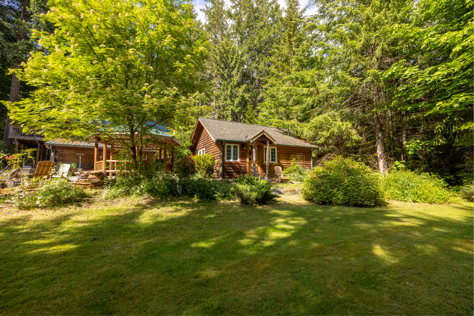 Lush green yard with a small wooden cabin and surrounding trees under a bright sky.