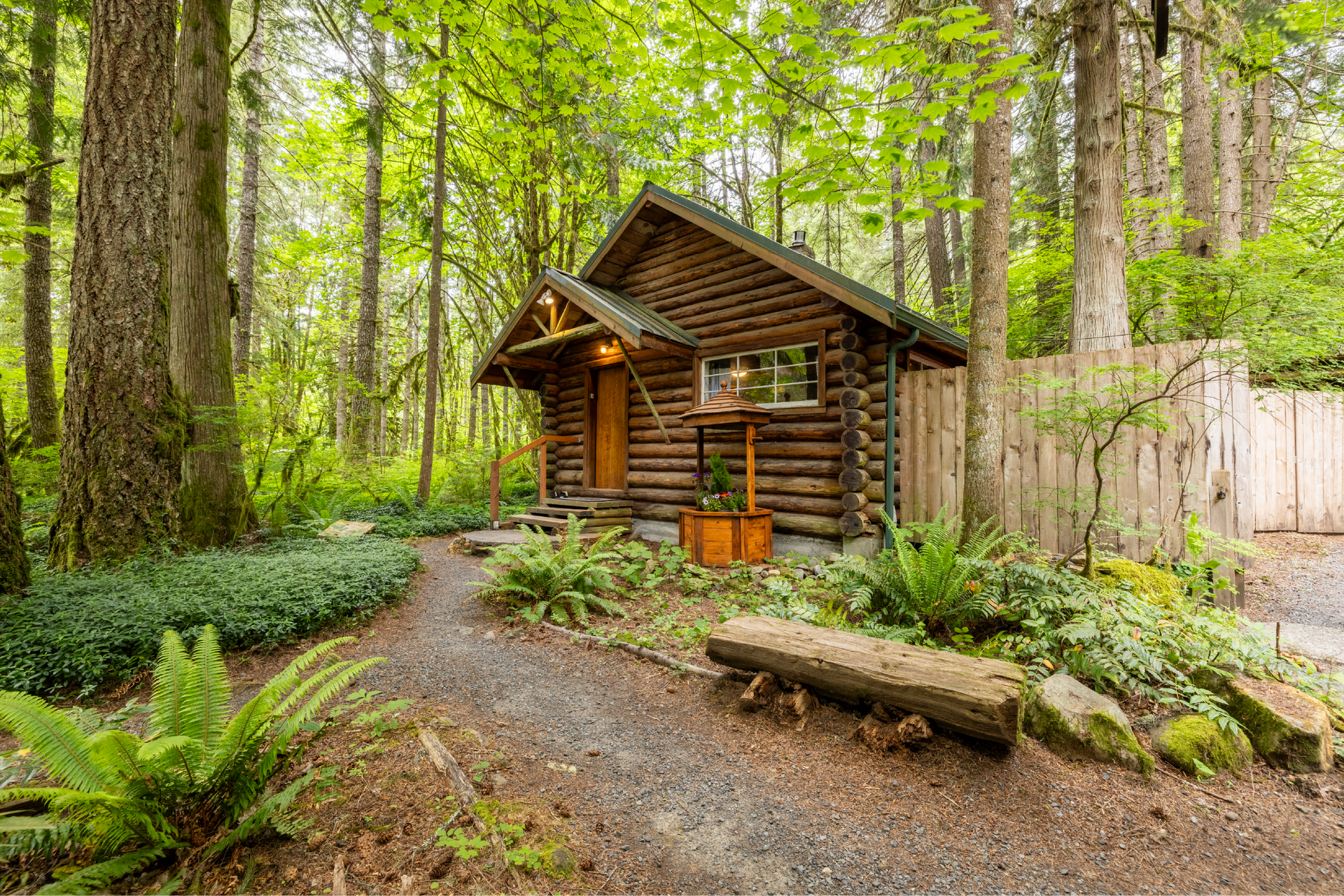 Small log cabin in a lush green forest with a gravel path leading to the entrance. A rustic wooden bench sits in front.