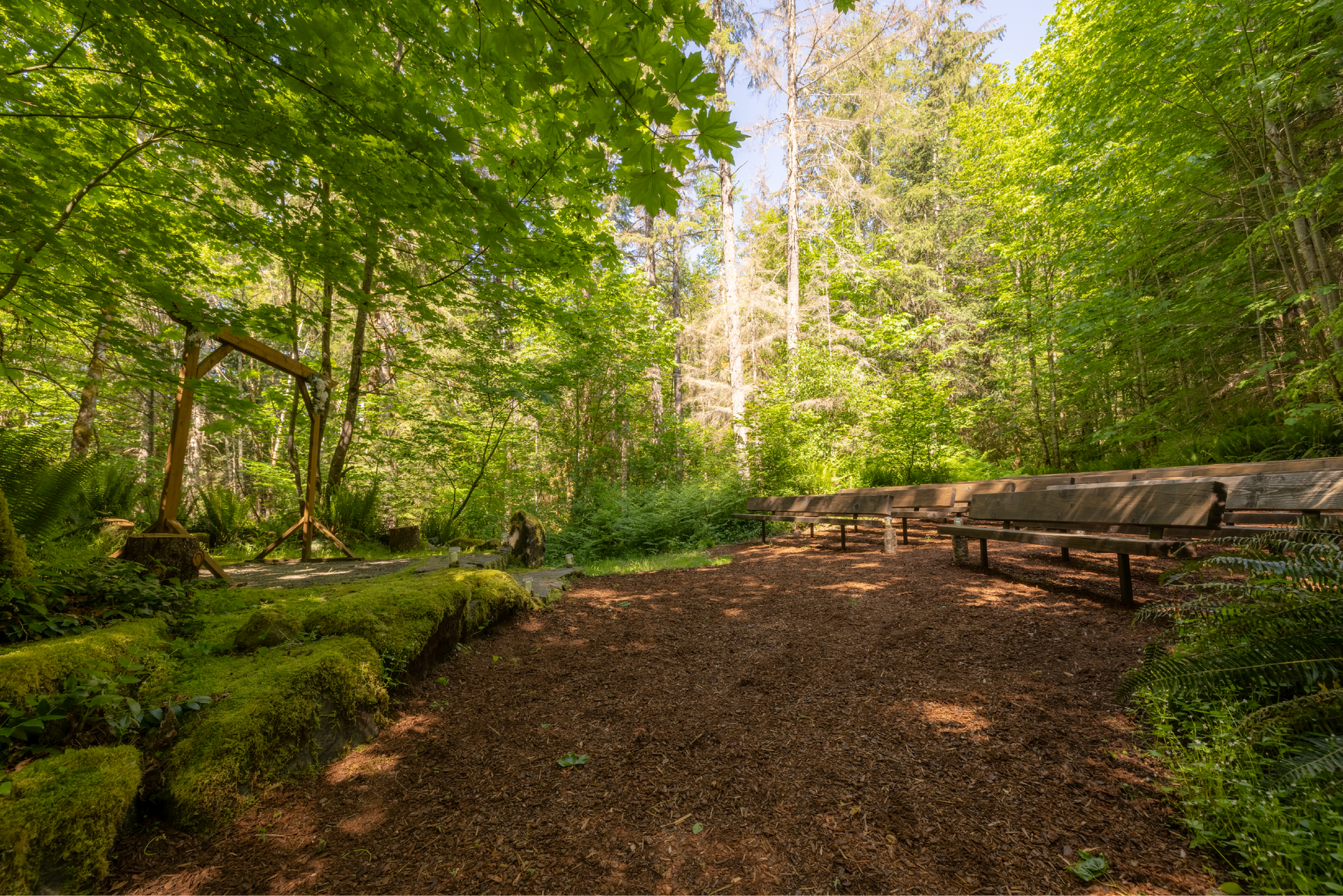An outdoor woodland amphitheater with wooden benches and a raised stage area, surrounded by lush green trees and foliage.