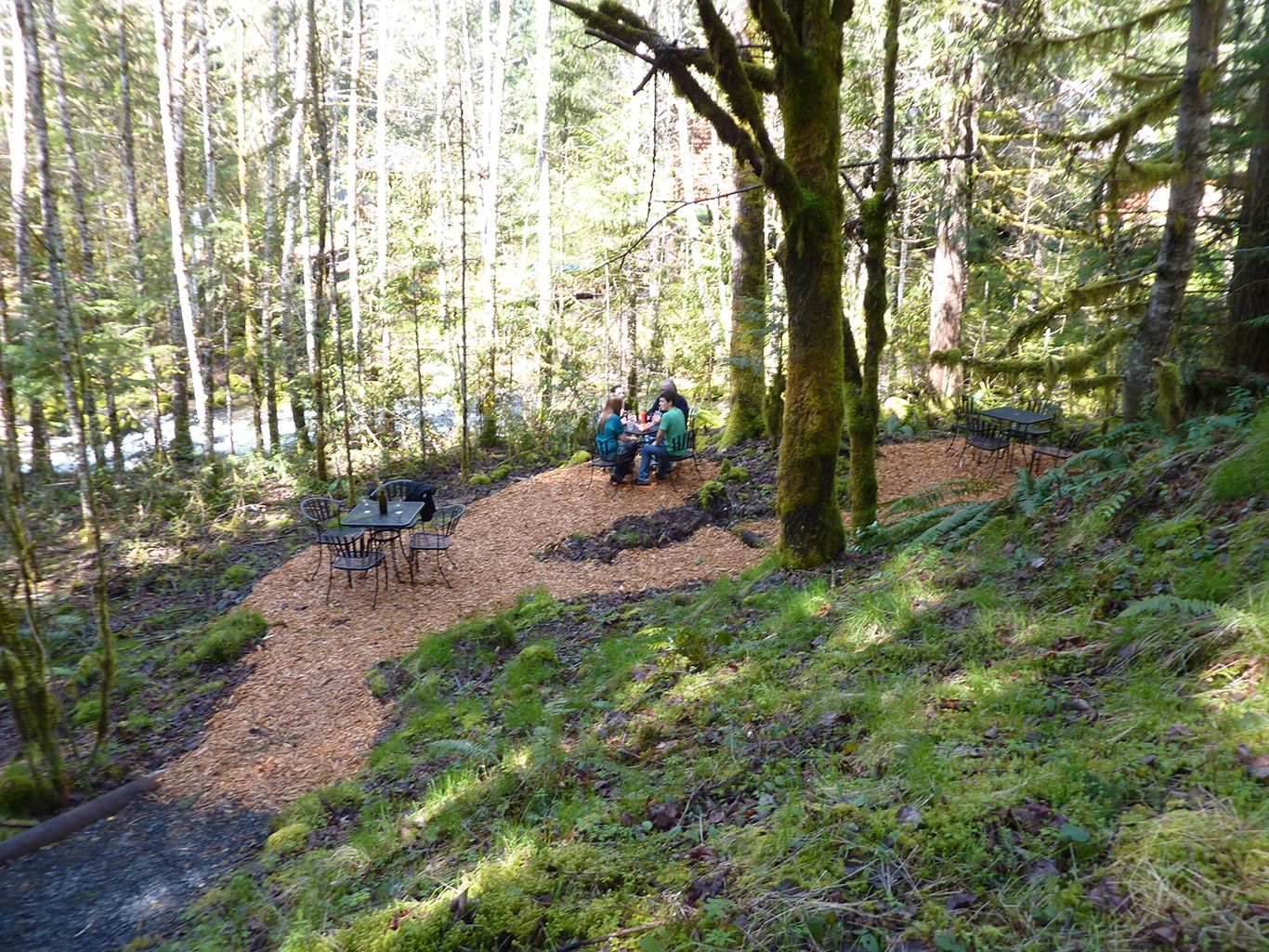 A group of people are sitting at a picnic table in the middle of a forest.