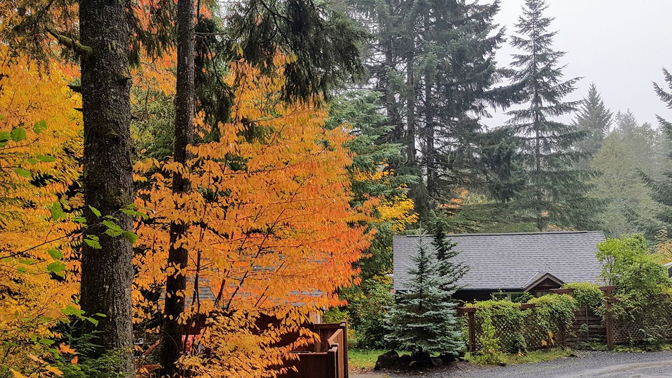 A house in the middle of a forest with trees and leaves changing colors.