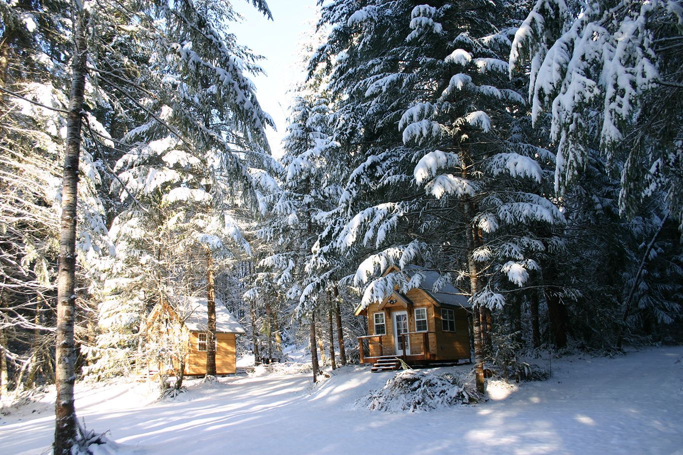 A small cabin in the middle of a snowy forest