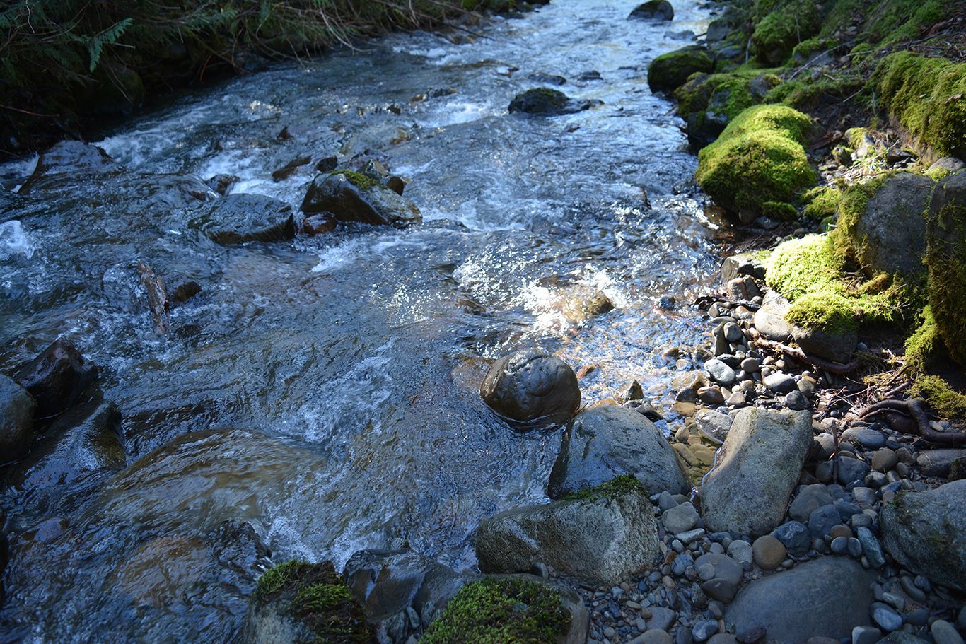 A stream running through a rocky area with moss on the rocks.
