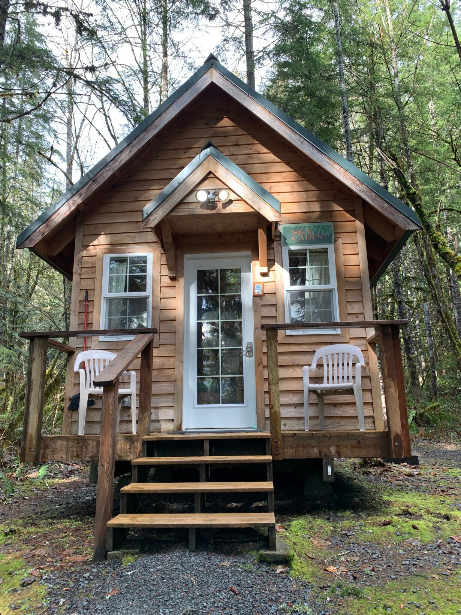 A small wooden cabin in the middle of a forest.