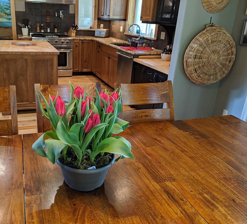 A potted plant sits on a wooden table in a kitchen