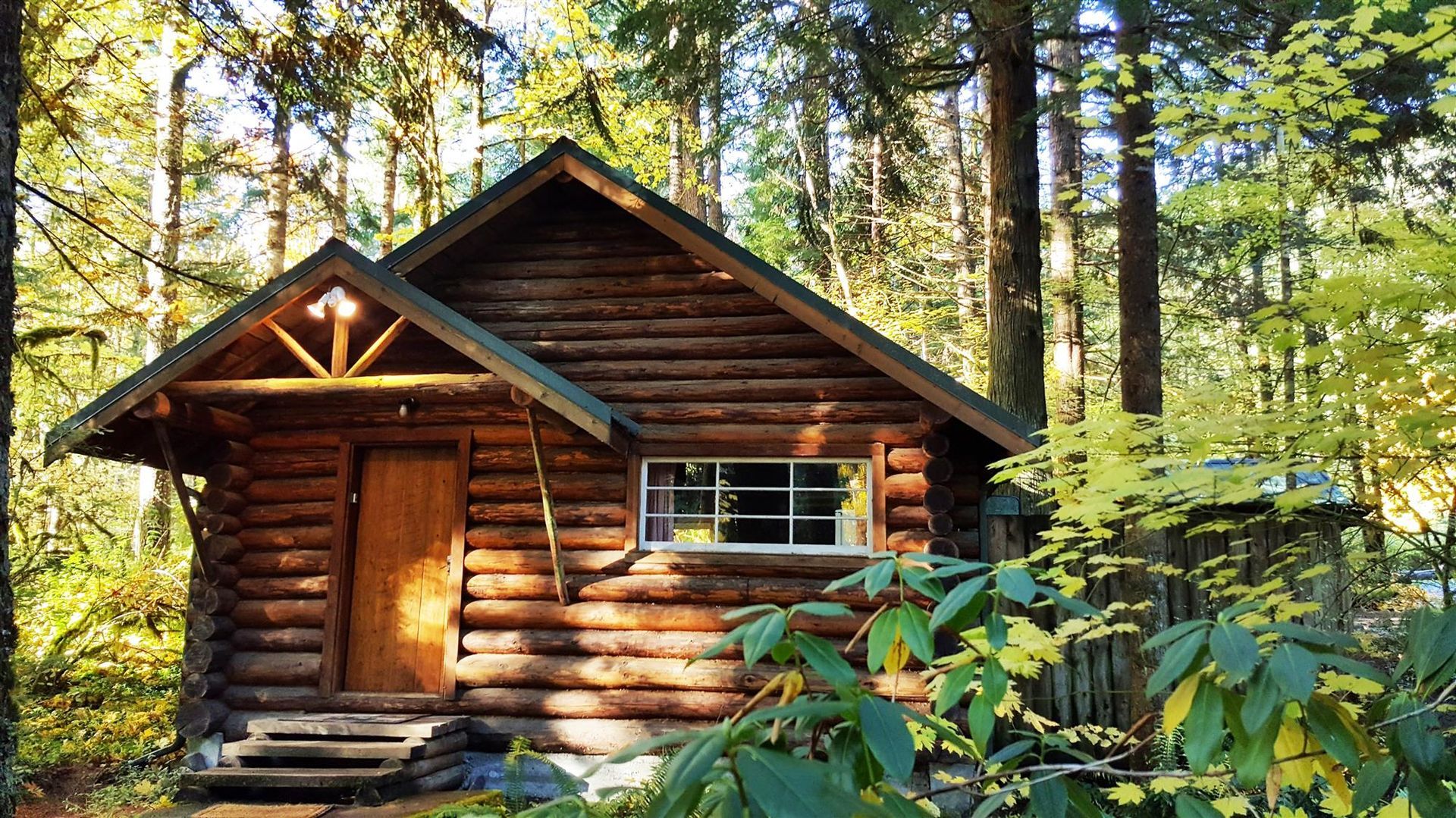 A small log cabin in the middle of a forest.