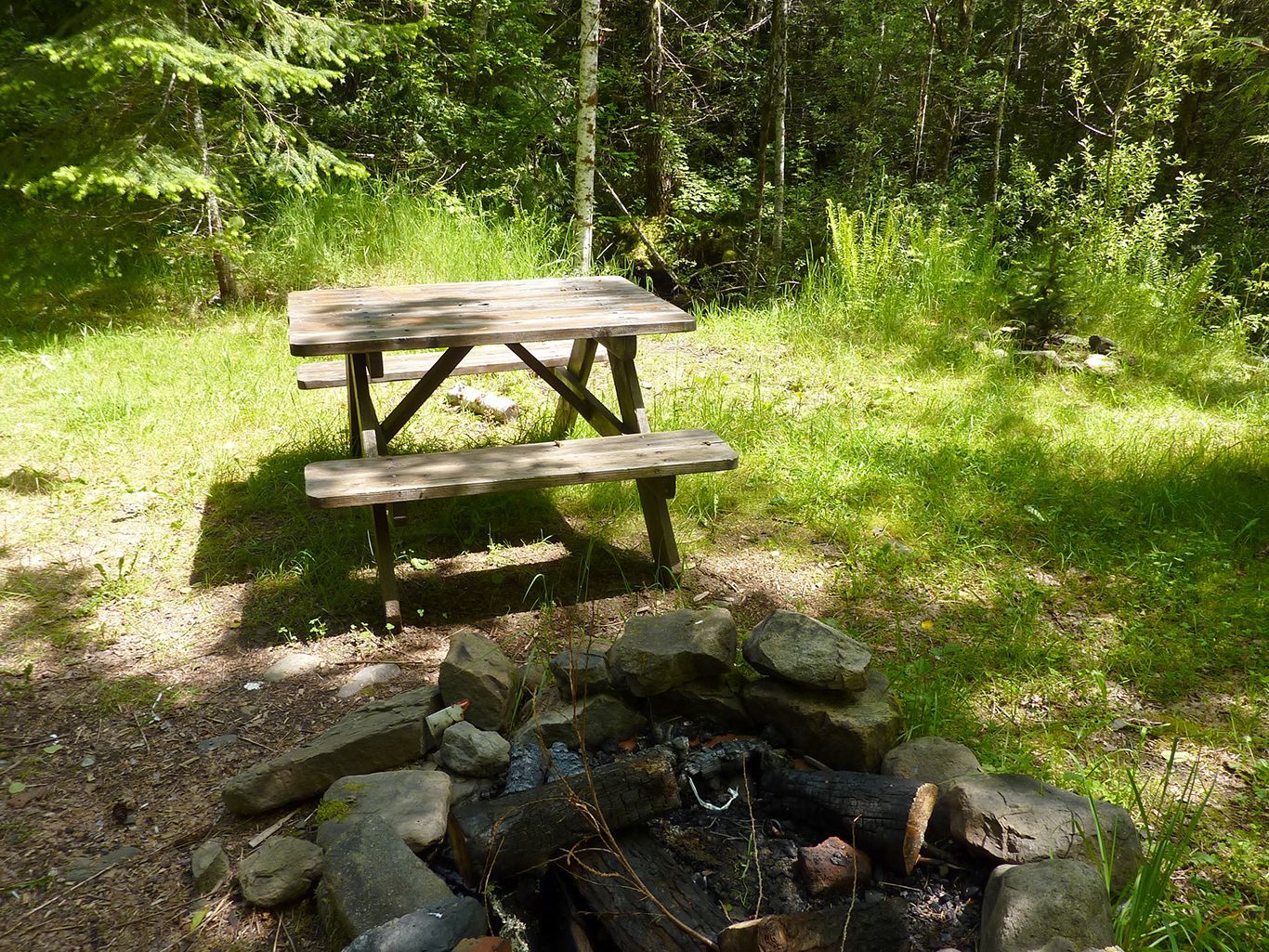 A picnic table is sitting next to a fire pit in the woods.