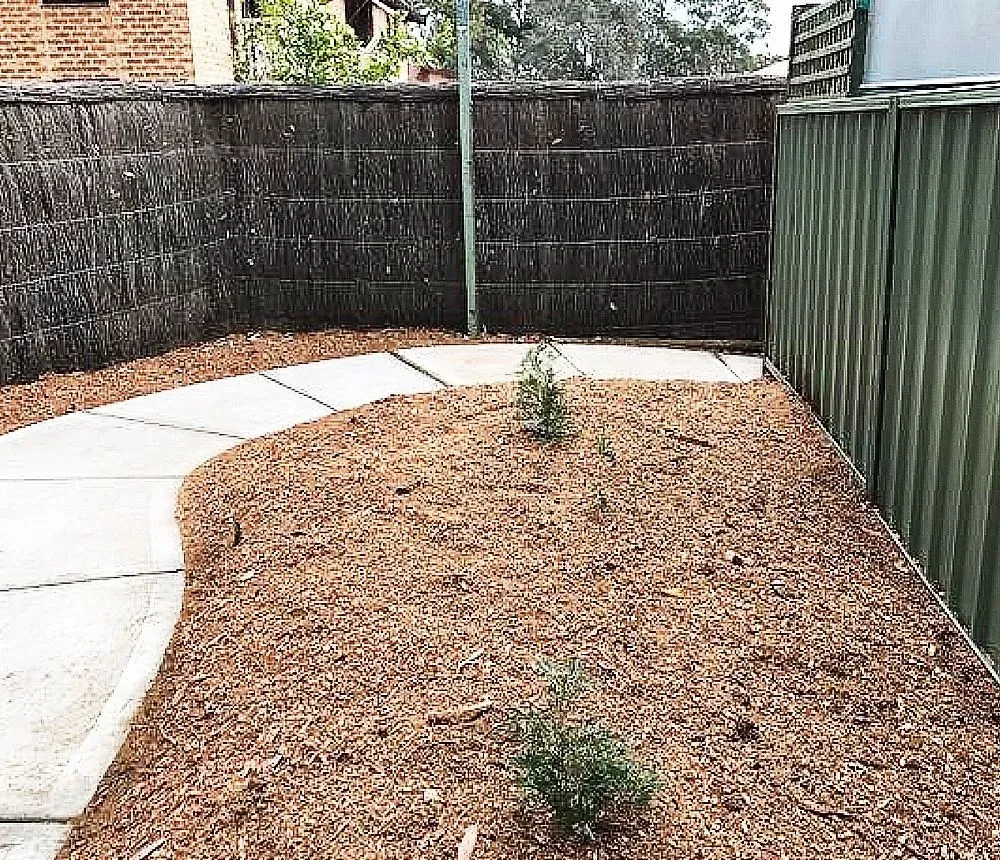 after stump removal