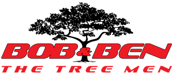 Bob & Ben The Tree Men Sutherland Shire