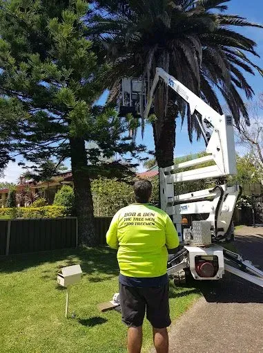 Bob & Ben The Tree Men team member