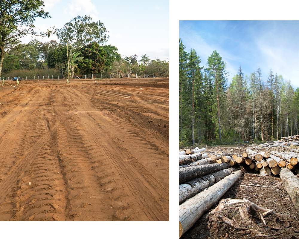 land clearing