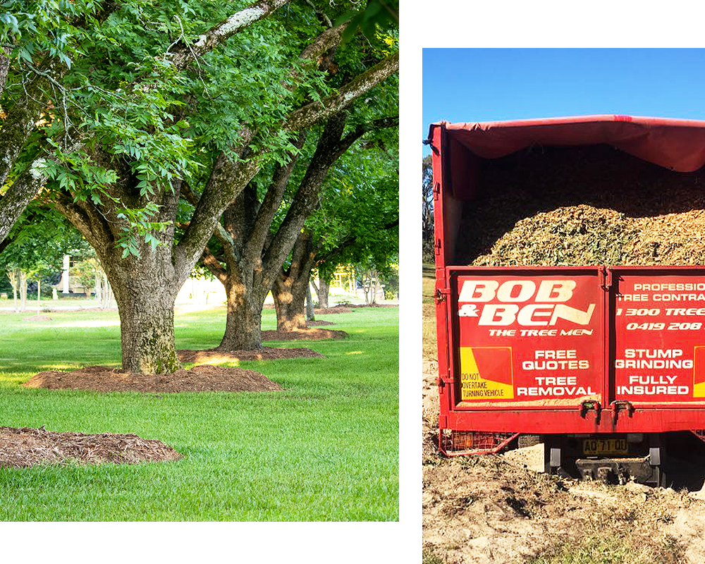 a picture of trees with wood chippings and a picture of Bob & Ben's truck