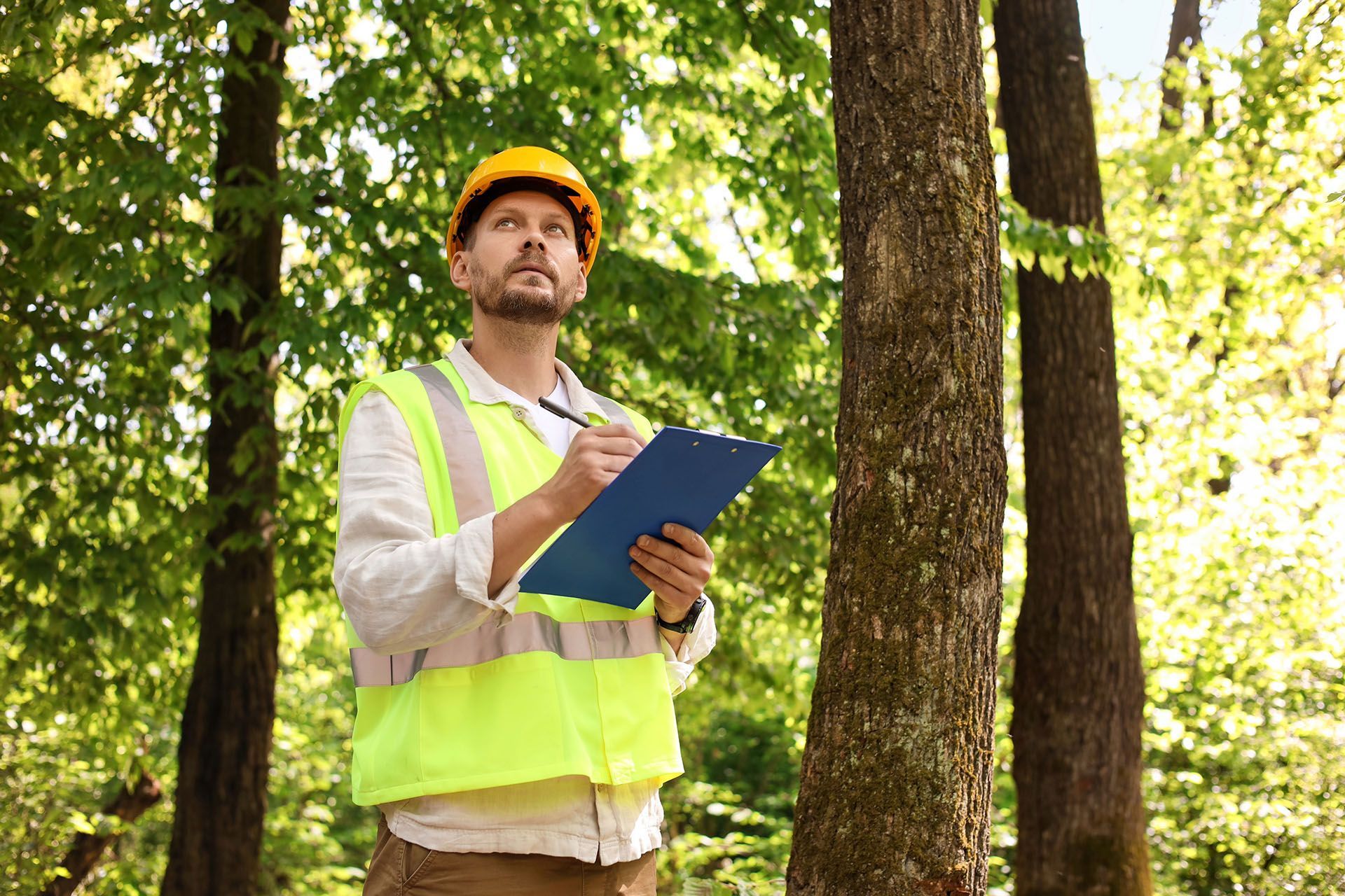 A man in a hard hat is holding a clipboard in a forest.