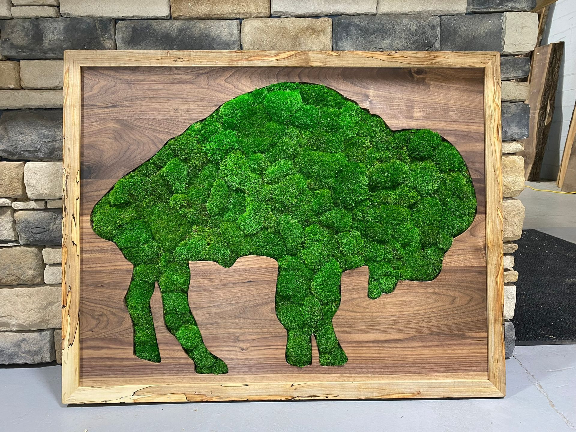 A picture of a bison made of moss in a wooden frame.