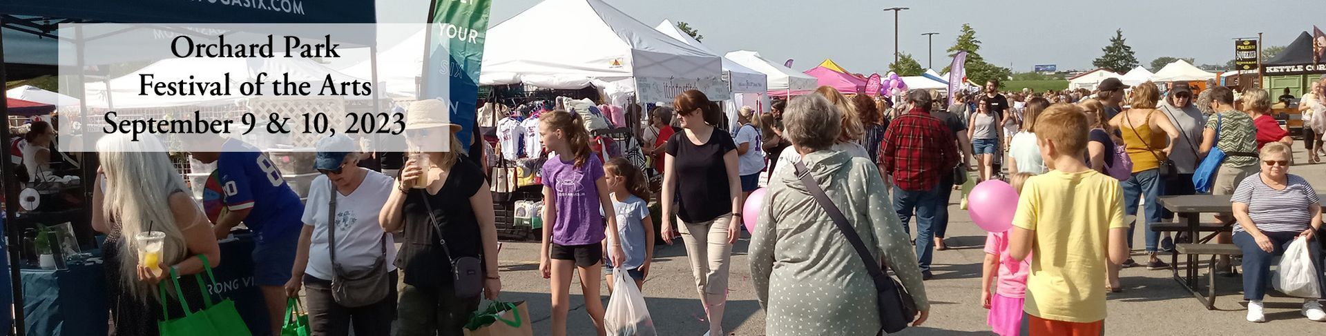 A crowd of people walking in an orchard park festival of the arts