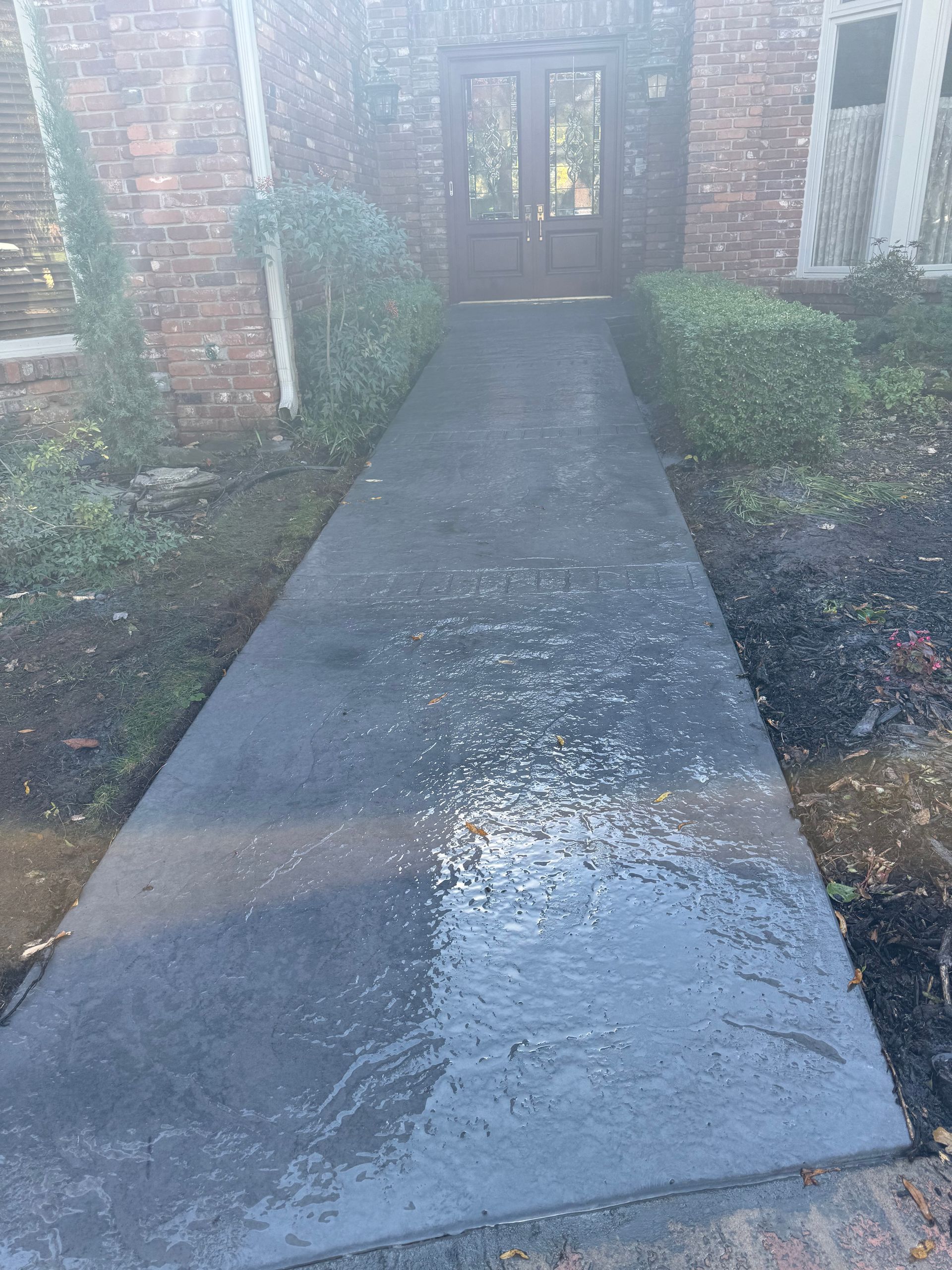Wet concrete walkway leading to a doorway, flanked by green hedges and brick siding.