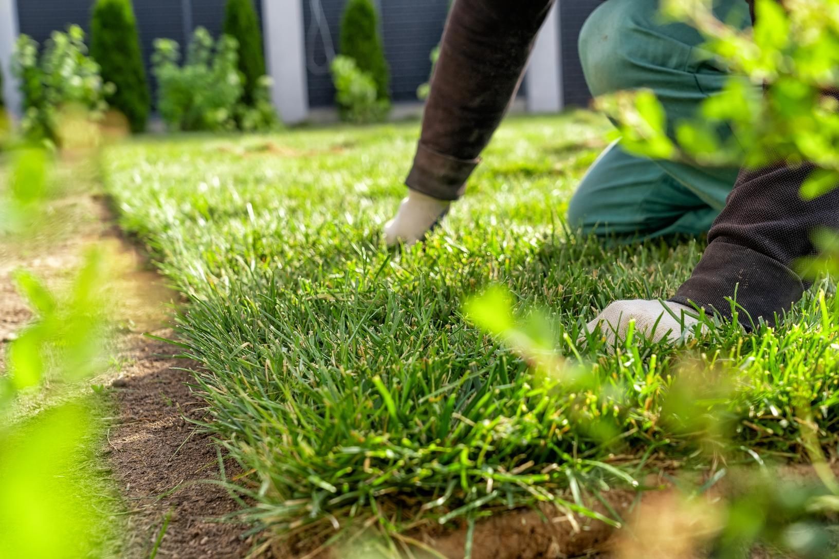 Person installing sod in a yard; kneeling, placing grass rolls, green grass, brown soil, sunny setting.