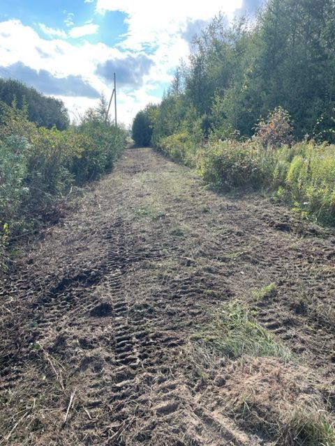 A dirt road in the middle of a forest with a lot of tire tracks.