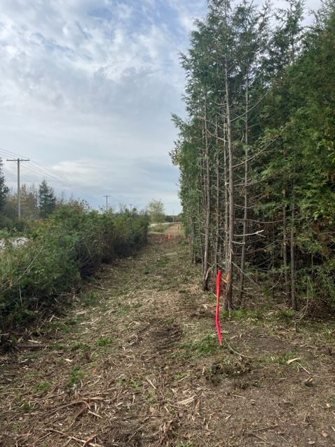 There is a red pole in the middle of the forest.