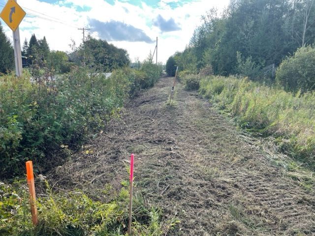 A dirt road with a yellow sign on the side of it.