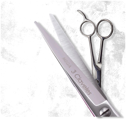 A pair of scissors made by 3 claveles