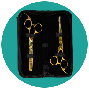 A pair of scissors and a comb in a black case