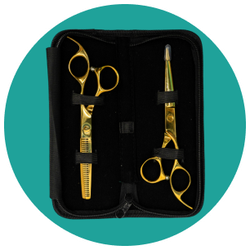 A pair of scissors and a comb in a black case