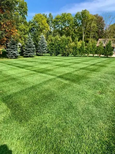 Deans Lawn Care Project Photo