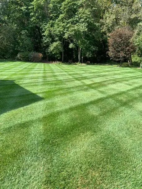 Deans Lawn Care Project Photo