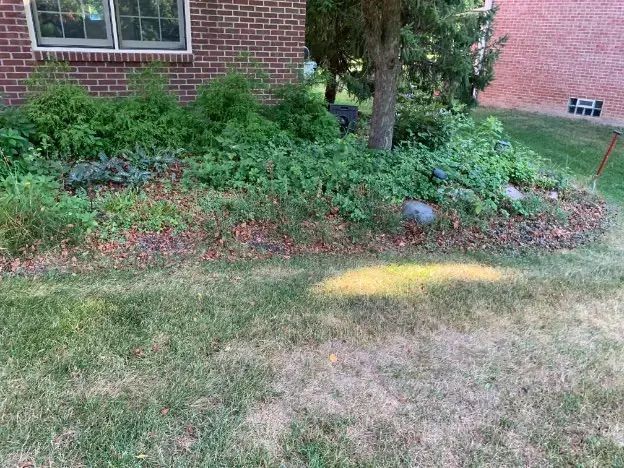 Deans Lawn Care Project Photo